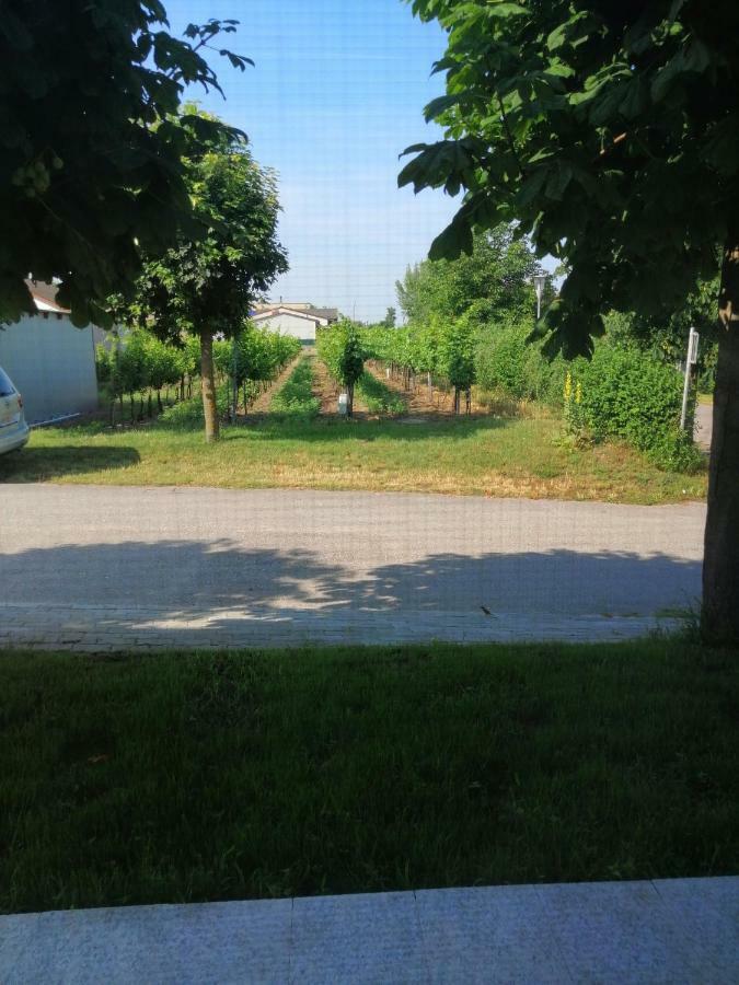 Campingblick-Gästehaus-Ferienwohnungen Podersdorf am See Exterior foto